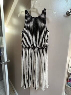 Anthropology Black & White Striped Sleeveless Pleated Dress